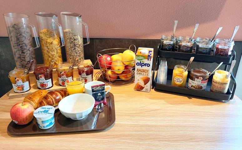 Hôtel pour 2 personnes, avec jardin et terrasse, animaux acceptés à Riom - 4