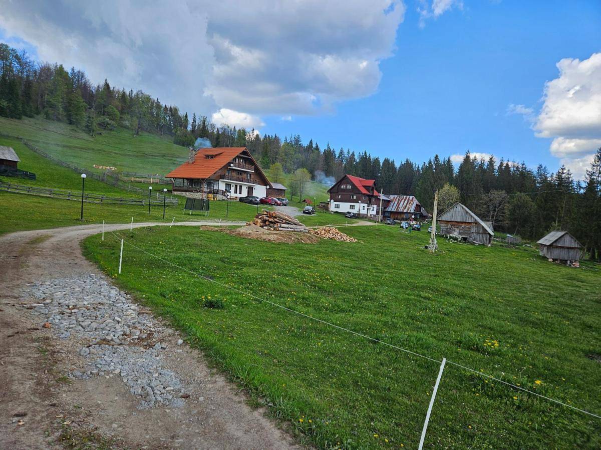 Triple Room with Shared Bathroom in Alba (Romania)