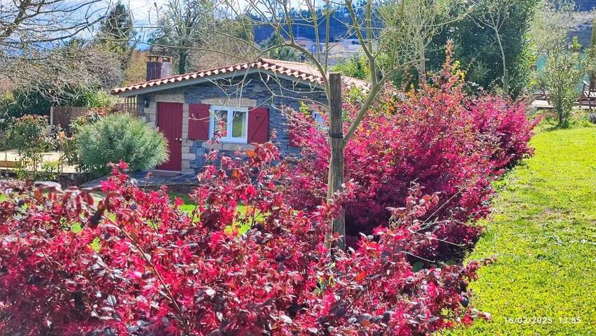 Casa de férias para 4 pessoas, com jardim e vista, com animais de estimação em Penafiel