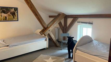 Bauernhof für 6 Personen in Kappeln, Kappeln & Umgebung, Bild 3