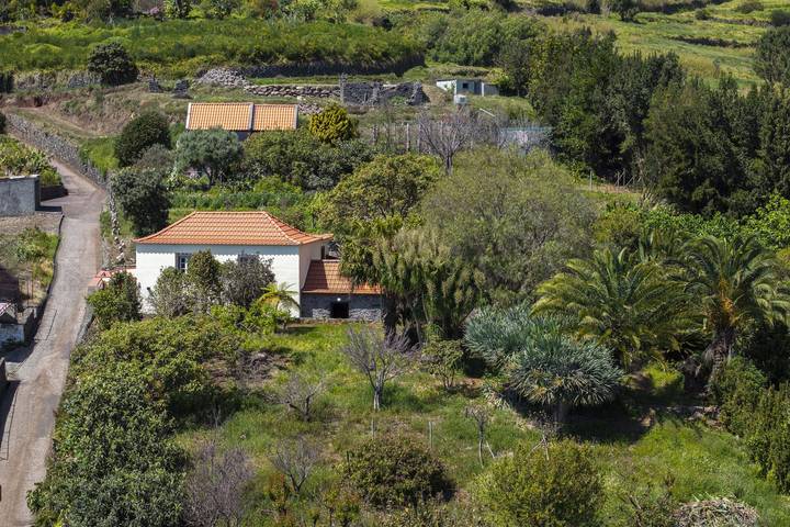 Location de vacances pour 4 personnes, avec terrasse et jardin dans Estreito da Calheta - 2