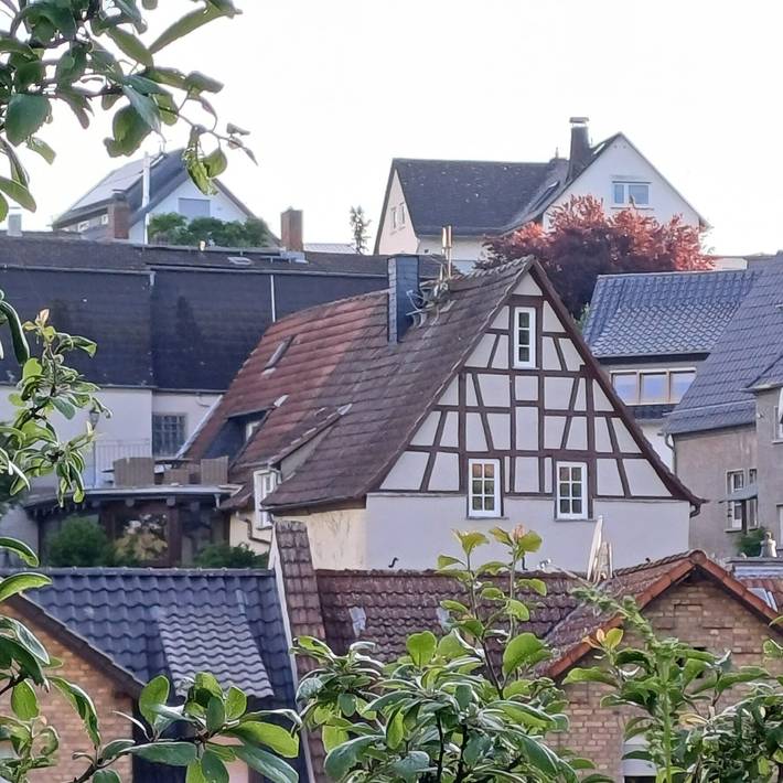 Vakantiewoning voor 6 personen, met Balkon en Tuin in Rheingau