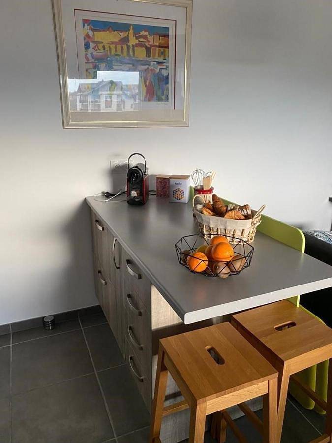 Gîte pour 4 personnes, avec terrasse ainsi que vue sur le lac et vue à Excenevex - 2