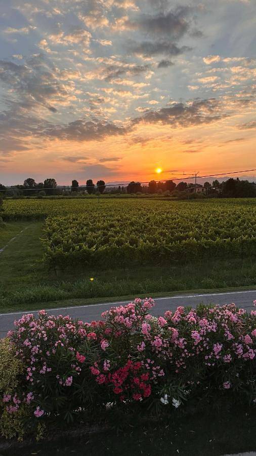 Villa Gala Villa with Private Pool in Sirmione Lake Garda in Sirmione, Prealpi Gardesane