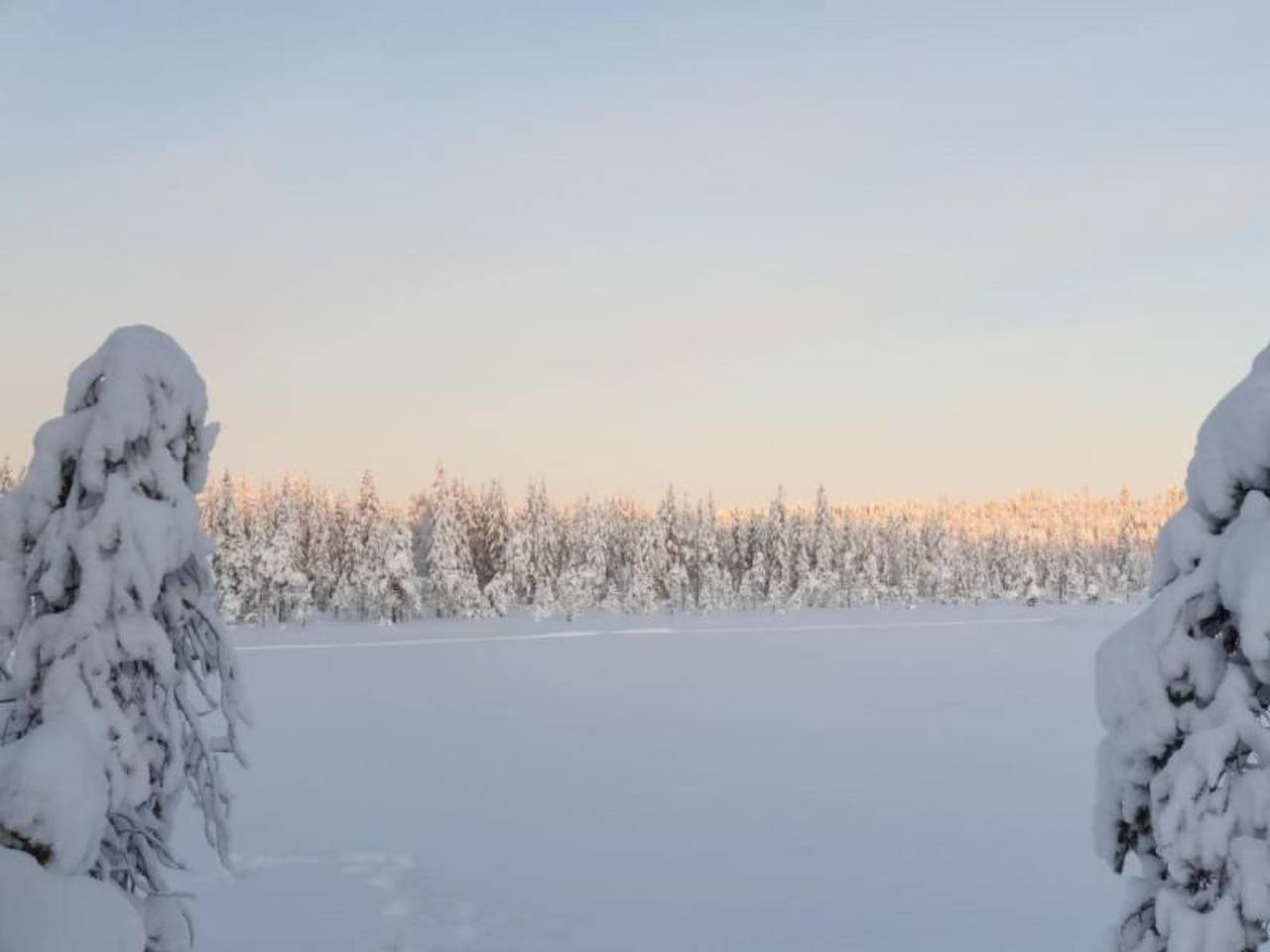 Gemütliches Ferienhaus in der Wildnis Lapplands in Västerbotten