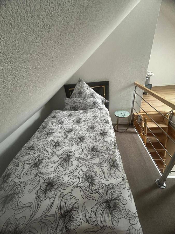 Gîte pour 4 personnes, avec Terrasse à Rielasingen-Worblingen - 4