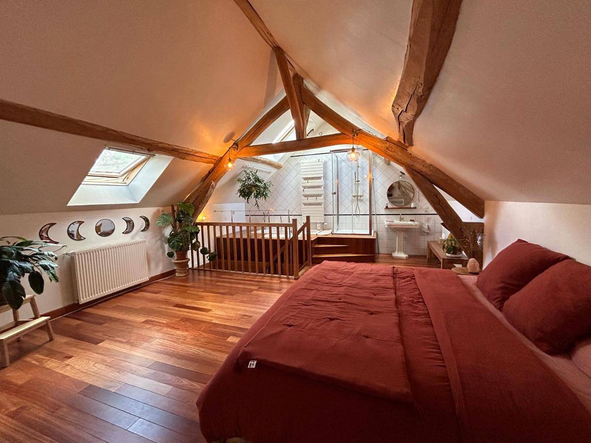 Deluxe King Room in Ville-Saint-Jacques, Seine-et-Marne