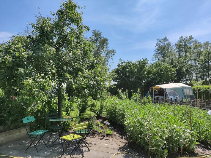 Ferienhaus für 4 Personen, mit Garten, mit Haustier - 1