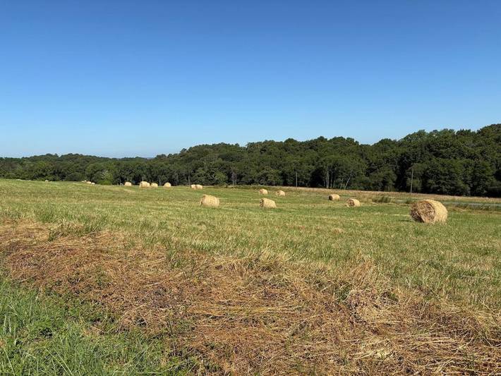 Location de vacances pour 4 personnes, animaux acceptés à Geaune - 3