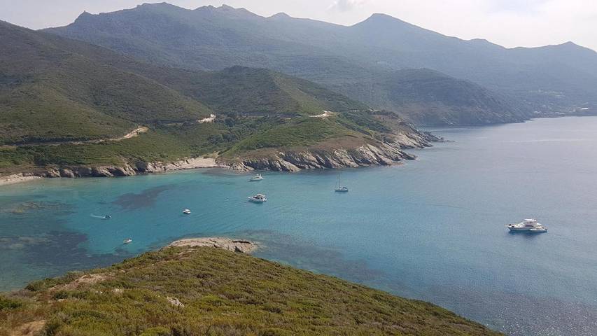 Gîte pour 3 personnes, avec jardin et vue, animaux acceptés à Morsiglia - 4
