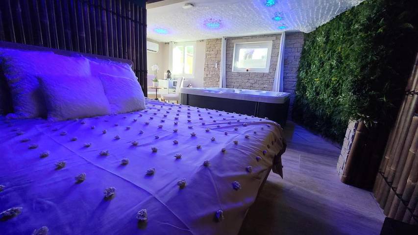Maison d’hôte pour 2 personnes, avec terrasse ainsi que jacuzzi et jardin à Le Val - 3