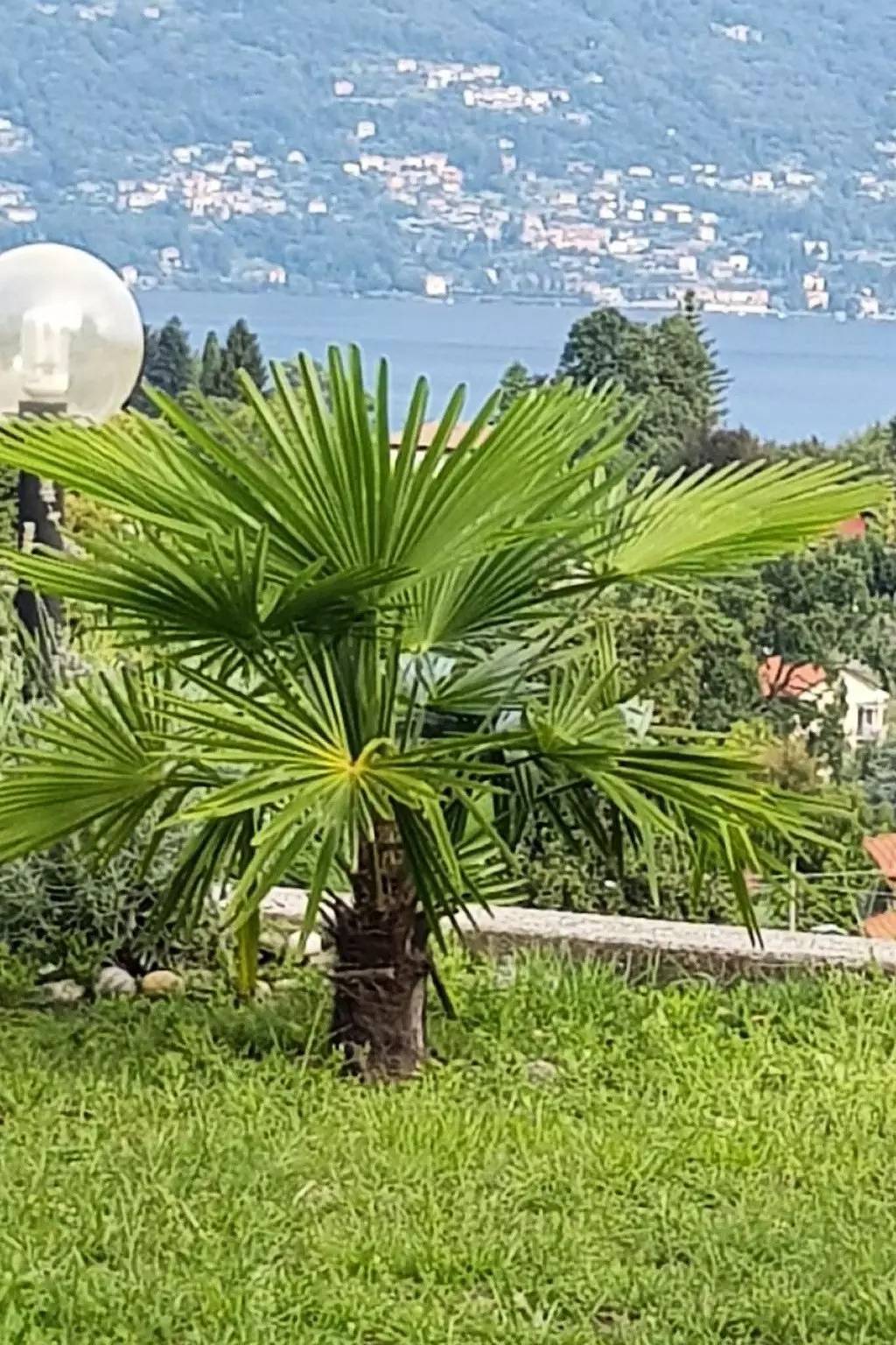 Haus 5 Personen in Castelveccana, Lago Maggiore (Lombardei)