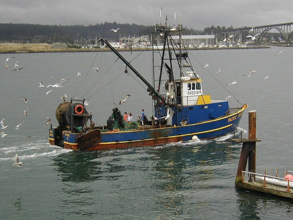 Whale of a View, Stadtzentrum, Keine zusätzlichen Gebühren, Kamin, Pc, Wifi, Überdachtes Parken in Depoe Bay, Lincoln County (OR)