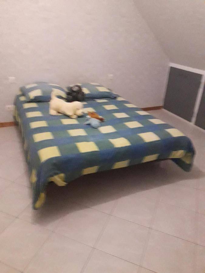 Chambre d’hôte pour 2 personnes, avec jardin à Changé - 4