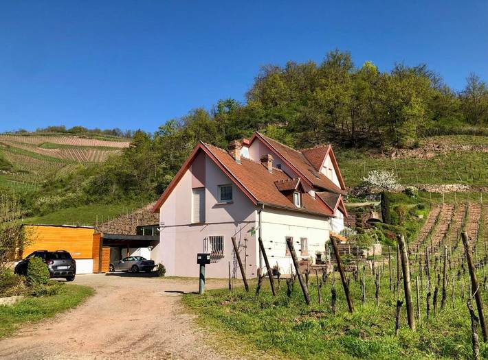 Gîte pour 2 personnes, avec Terrasse et Jardin à Niedermorschwihr