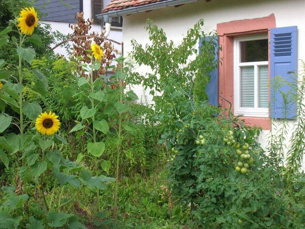 Ferienwohnung mit 2 Schlafzimmer in Maikammer, Südliche Weinstraße