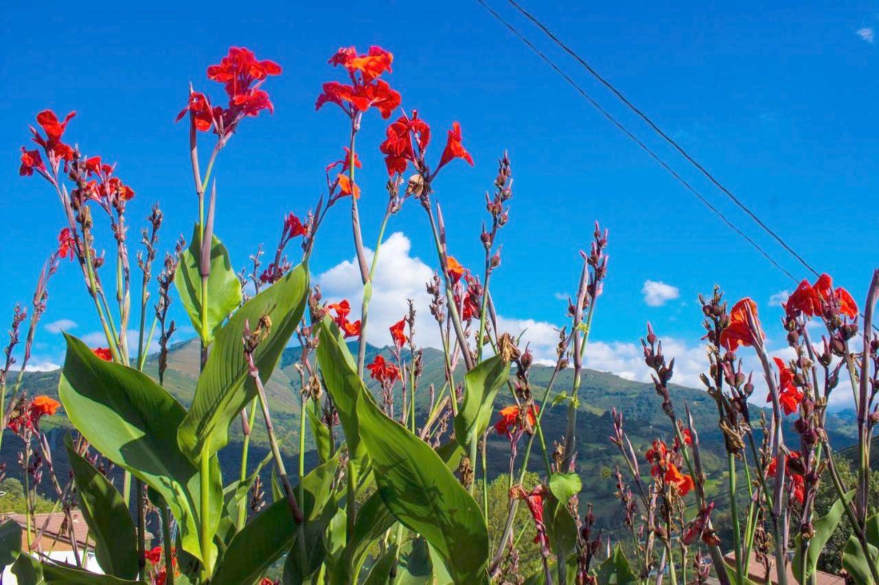 Hotel Doña Gaudiosa in Lena, Cordillera Cantábrica