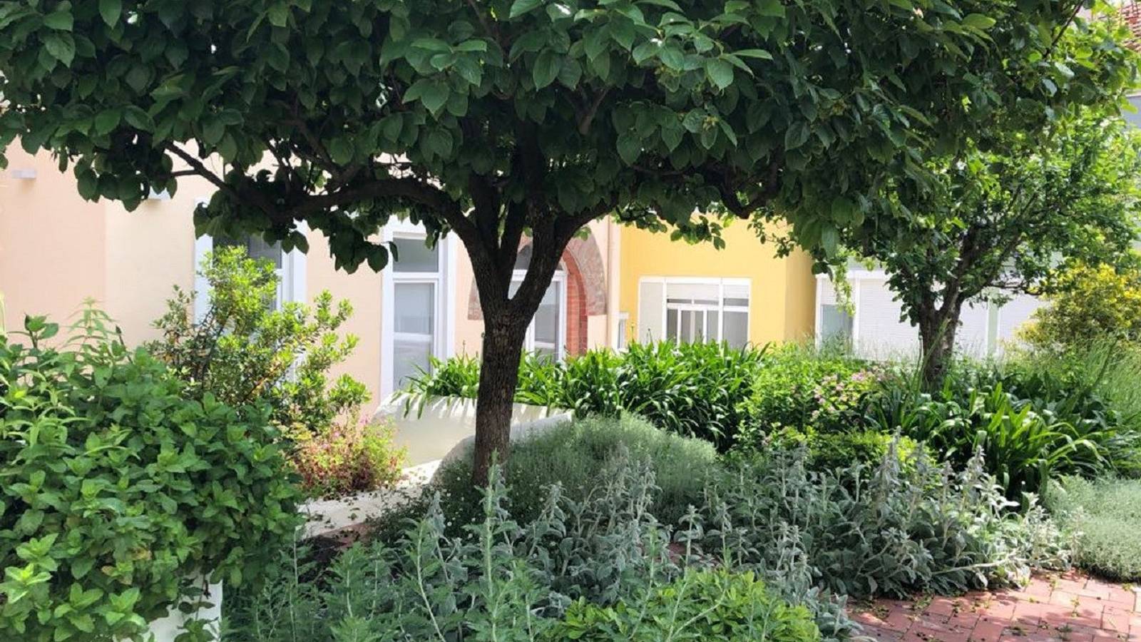 Entire apartment, Quiet & Cozy Apartment w/ Garden by Lovelystay in Santa Engrácia, São Vicente (Lisbon)