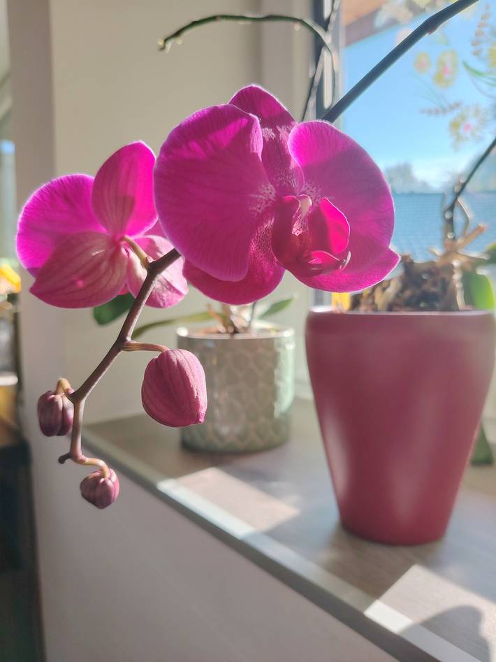 Ferienwohnung für 4 Personen, mit Ausblick in Bad Ischl