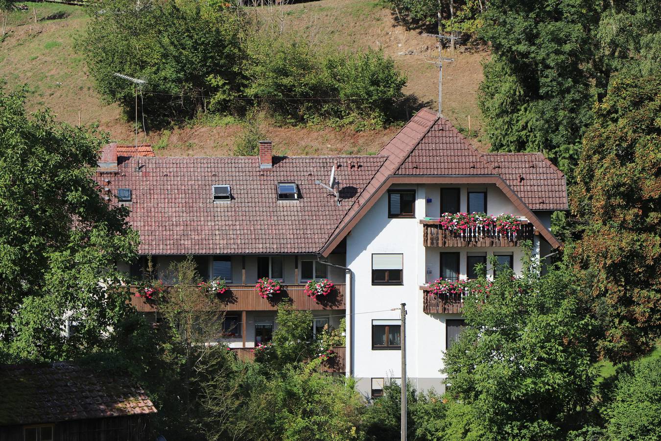 Ganze Wohnung, Apartment 'Nr. 4 Bachstelze' mit gemeinsamer Terrasse, gemeinsamem Garten und Wlan in Freiamt, Südschwarzwald