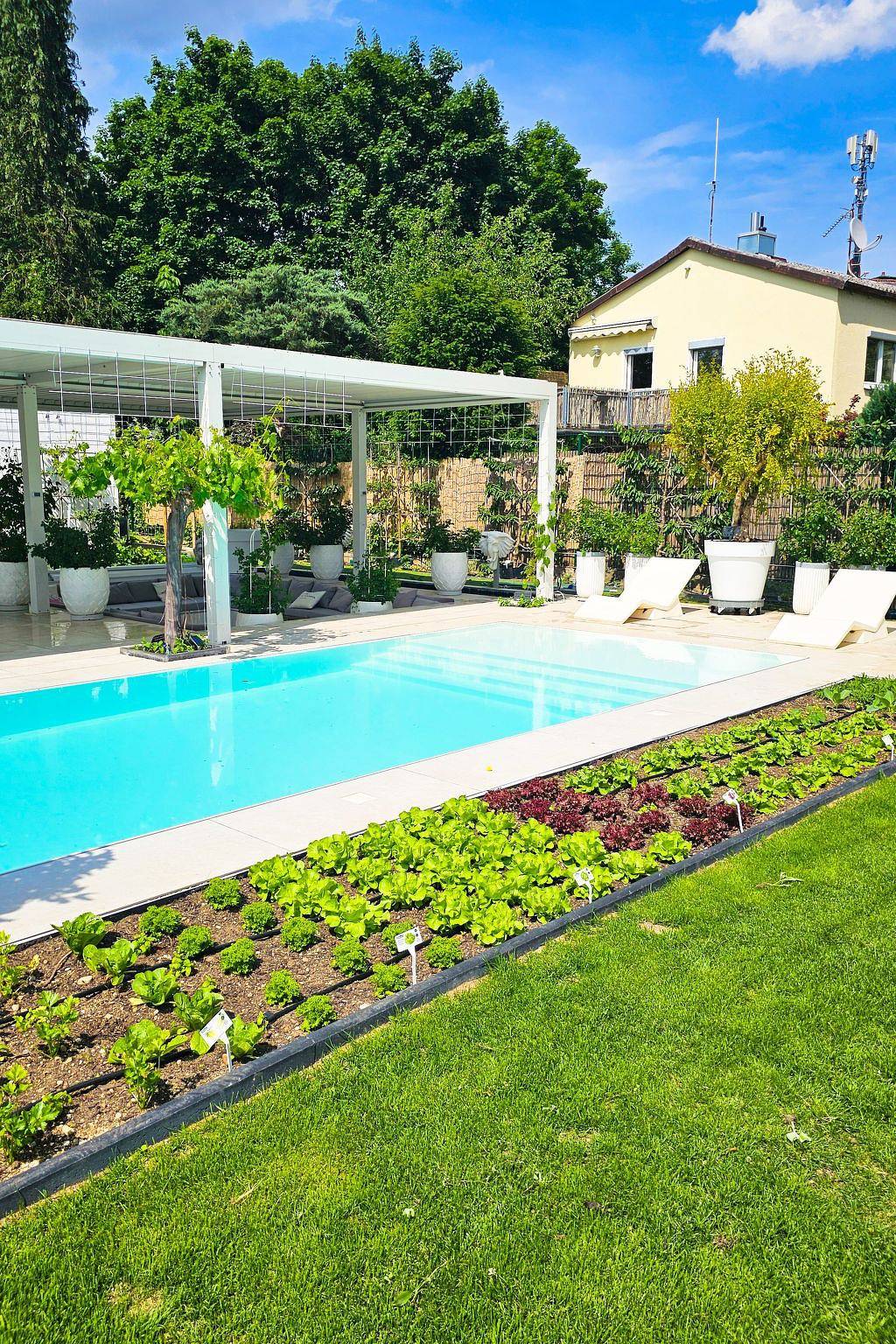 Appartamento intero, Luxurious large Home, Pool , Garden , Koi Pond in Monaco di Baviera Sendling, Monaco di Baviera