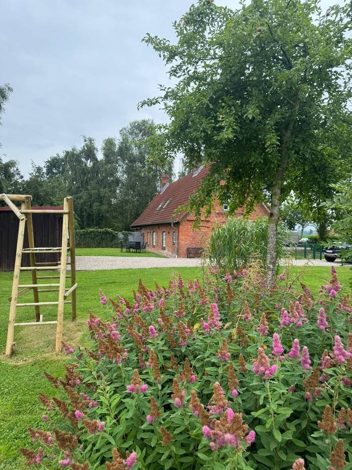Ferienhaus für 8 Personen, mit Garten und Terrasse in Riepsdorf - 2