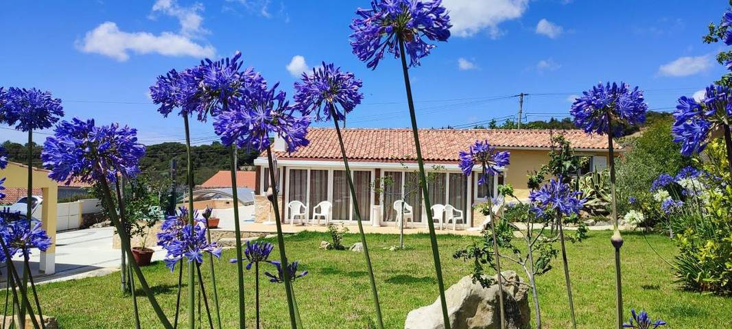 Casa rural para 5 personas, con Terraza y Jardín además de Piscina y Vistas en Alcobaça - 3