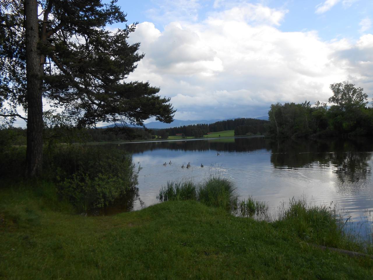 Ganze Ferienwohnung, Ferienwohnung Huber am Deutensee in Steingaden, Romantische Straße