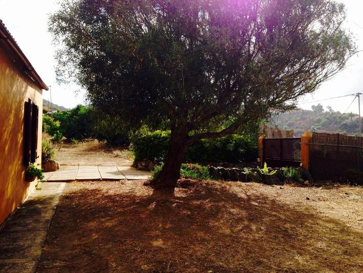 Casa rural para 6 personas, con jardín además de piscina y vistas, Familias con niños en Gran Canaria - 4