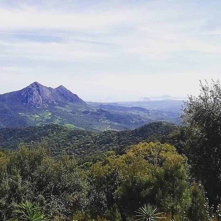 Casa rural para 8 personas, con piscina además de vistas y jardín, Se admiten mascotas en Gaucín - 2