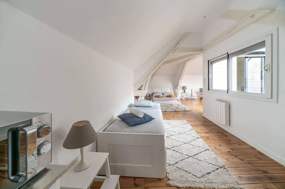 Entire apartment, Zaprojektuj strych, wszystkie wygody, centrum, taras in Vichy, Vichy region