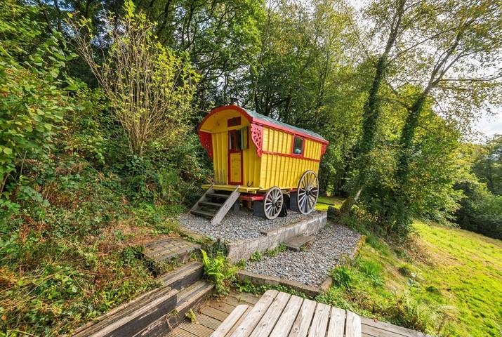 Prudence in Devon