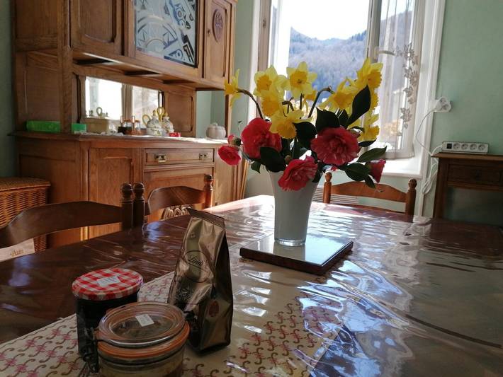 Gîte pour 6 personnes, avec jardin à Savignac-les-Ormeaux - 4