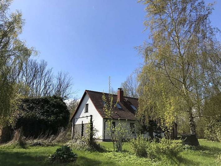 Ganze Ferienwohnung, Rügen-Fewo 280/3 - Ferienhaus 8 in Dreschvitz, Rügen