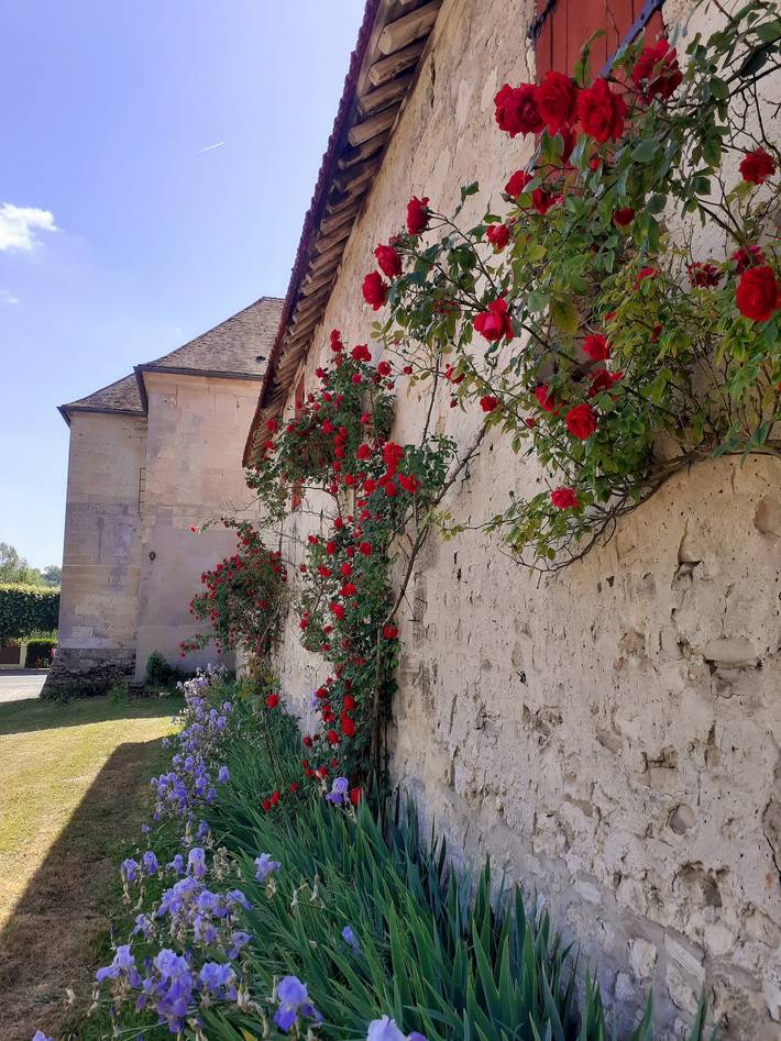 Gîte pour 6 personnes, avec jardin et terrasse dans Seine-et-Marne - 3
