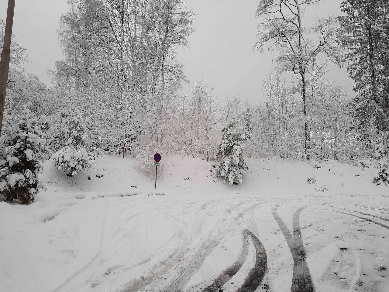 Ganze Ferienwohnung, Haus Berghöhe - Haus Berghöhe in Wildemann, Harzvorland
