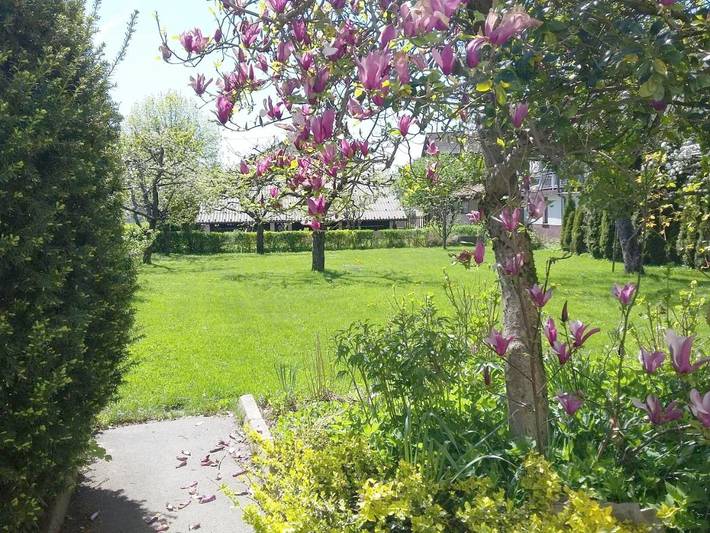 Holiday rental, with Terrace and Garden in Ljubljana