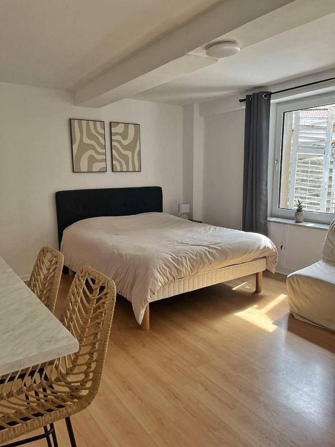 Appartement entier, Studio Cosy Centre-ville de Morhange in Morhange (Moselle), Région de Forbach