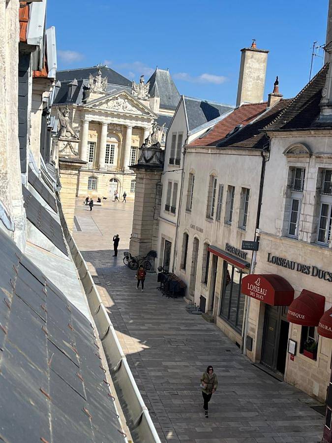Gîte pour 2 personnes, avec vue, animaux acceptés dans Office De Tourisme De Dijon - 3