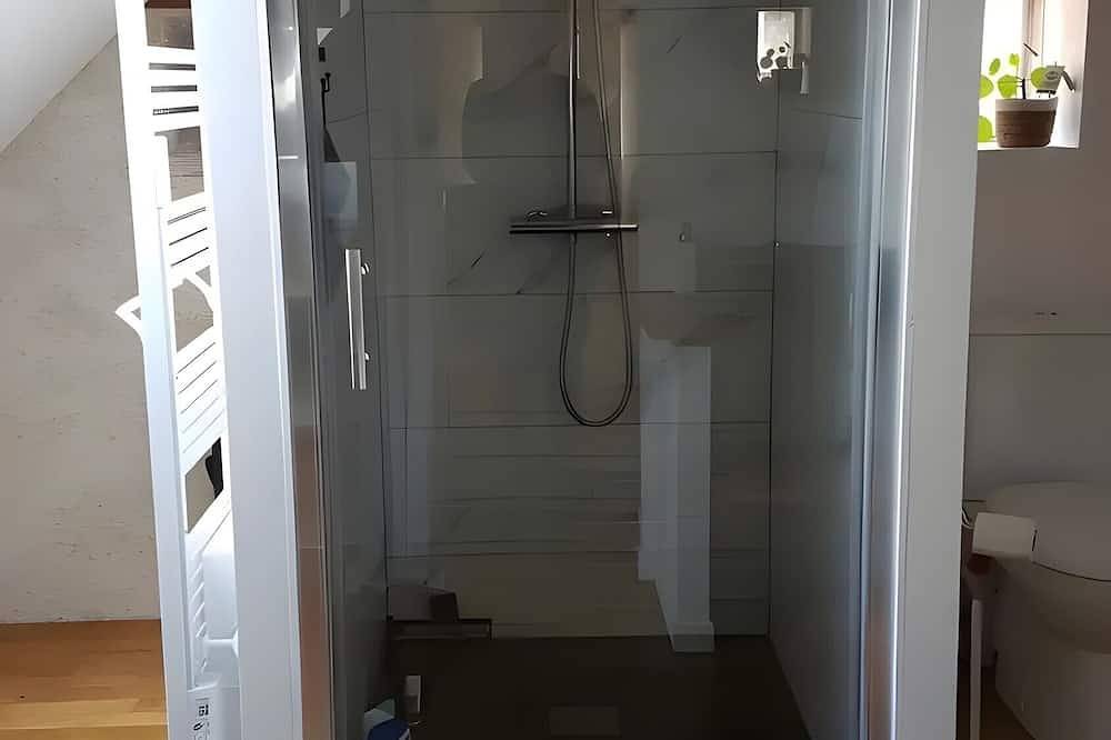 Casa de huéspedes 'La Lizardiere Des Landes' con piscina, jardín y Wi-Fi compartidos in La Flèche, Valle del Loira