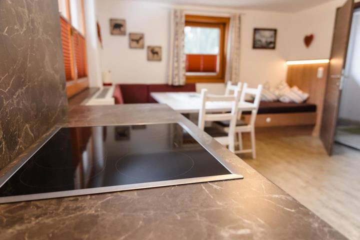 Ferienwohnung für 5 Personen, mit Terrasse und Ausblick in Lanersbach