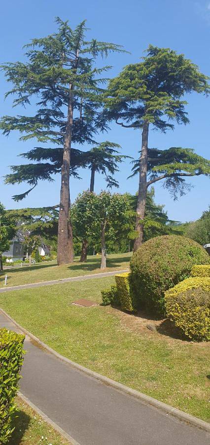 Gîte pour 3 personnes, avec vue dans Golf Blue Green Houlgate - 3