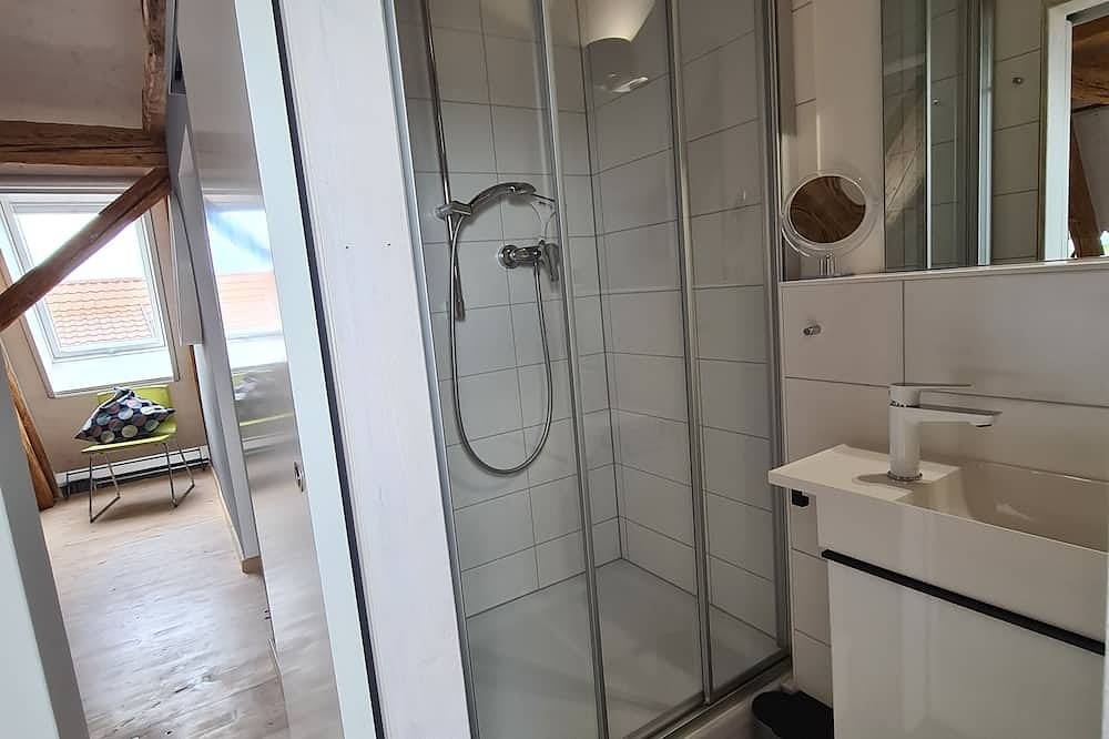 Ganze Wohnung, \"Dachwerk\" - Insel Reichenau moderne Ferienwohnung auf 2 Etagen in Reichenau, Untersee