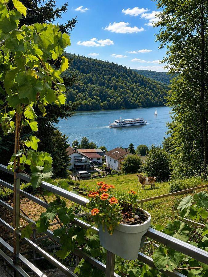 Ferienwohnung für 4 Personen, mit Terrasse und Garten sowie Ausblick in Hirschhorn (Neckar) - 4