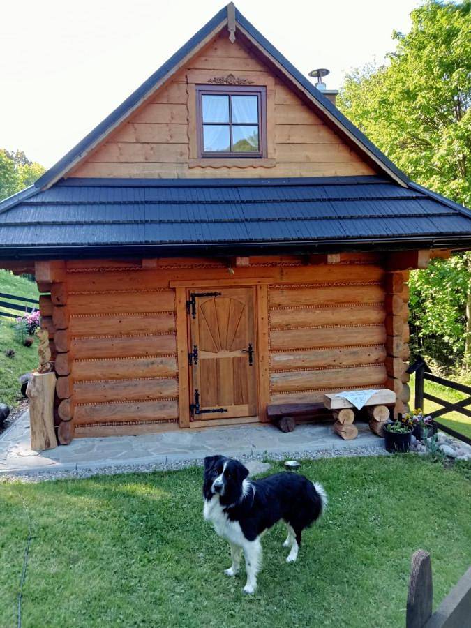 One-Bedroom Chalet in Karpaty (Polska)