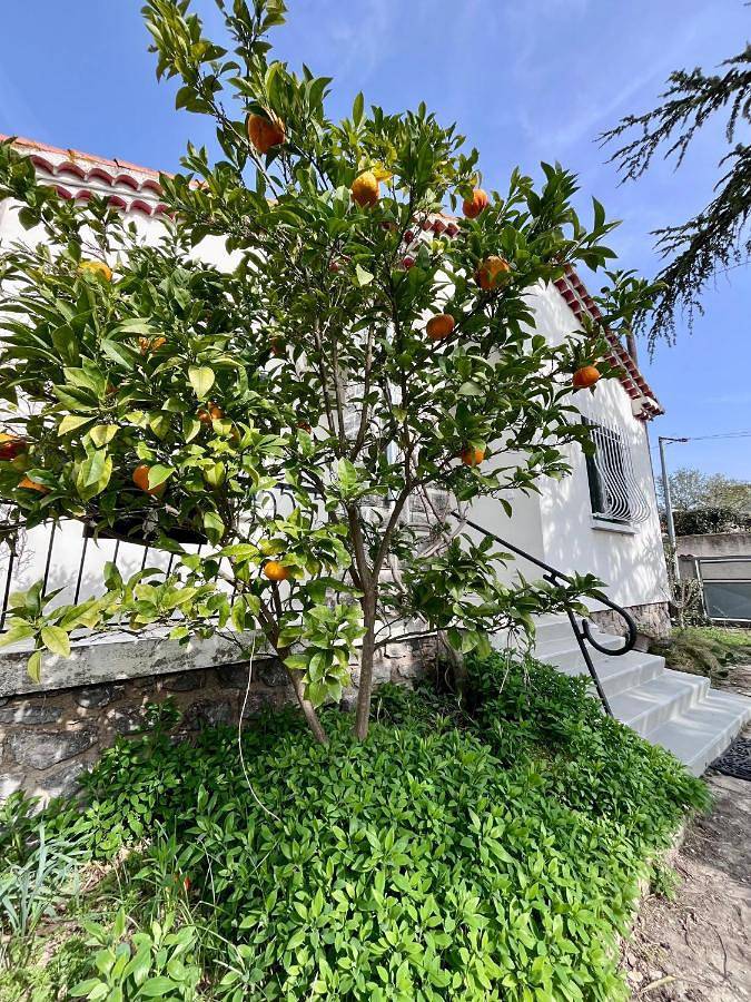 Maison de vacances pour 10 personnes, avec jardin