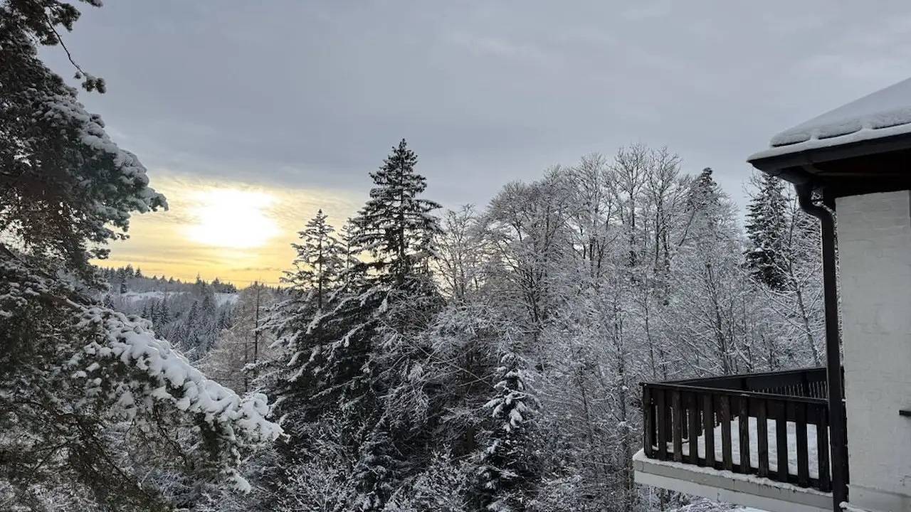 Ferienhaus für 11 Personen (200 m²) in Furtwangen im Schwarzwald in Furtwangen im schwarzwald (Schwarzwald), Furtwangen