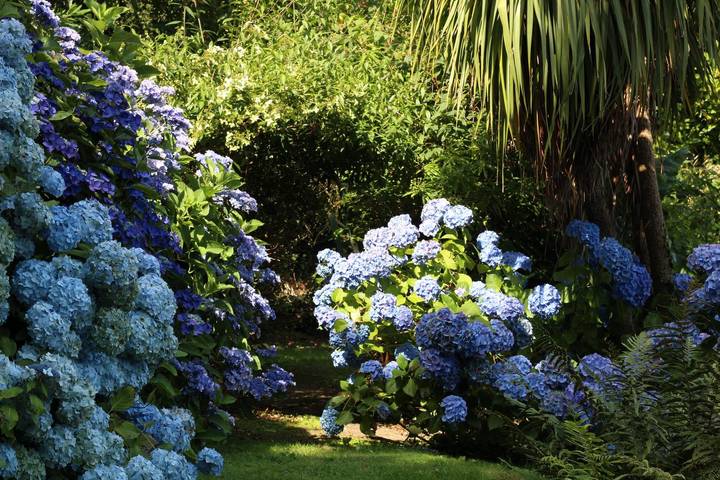 Gîte pour 2 personnes, avec jardin dans Cotentin - 3