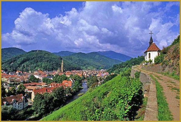 Gîte pour 4 personnes à Thann - 3