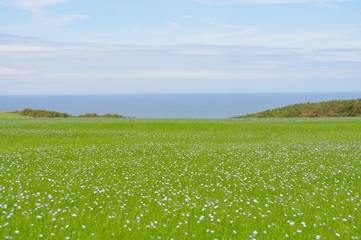 Gîte pour 12 Personnes dans Yport, Côte d'Albâtre, Photo 3